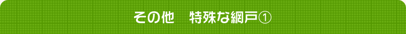 その他　特殊な網戸①