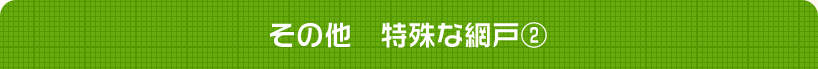 その他　特殊な網戸②